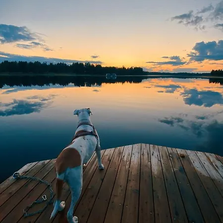 Arctic & Igloos אורחן