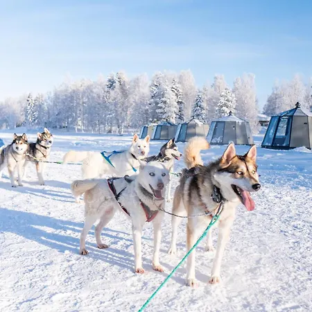 Arctic & Igloos 3* ראנואה