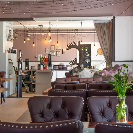 Arctic & Igloos 3* ראנואה