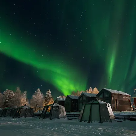 Arctic