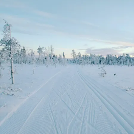 Arctic