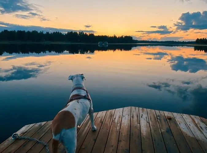 Arctic & Igloos Estalagem