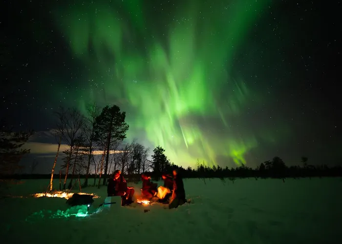 Arctic & Igloos 3* Ranua