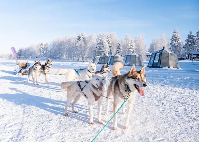 Arctic & Igloos 3* Ranua